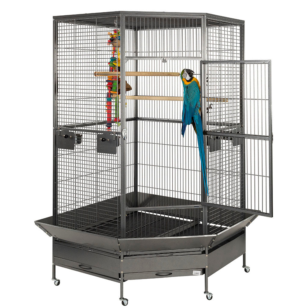 Antique Raleigh Parrot Cage
