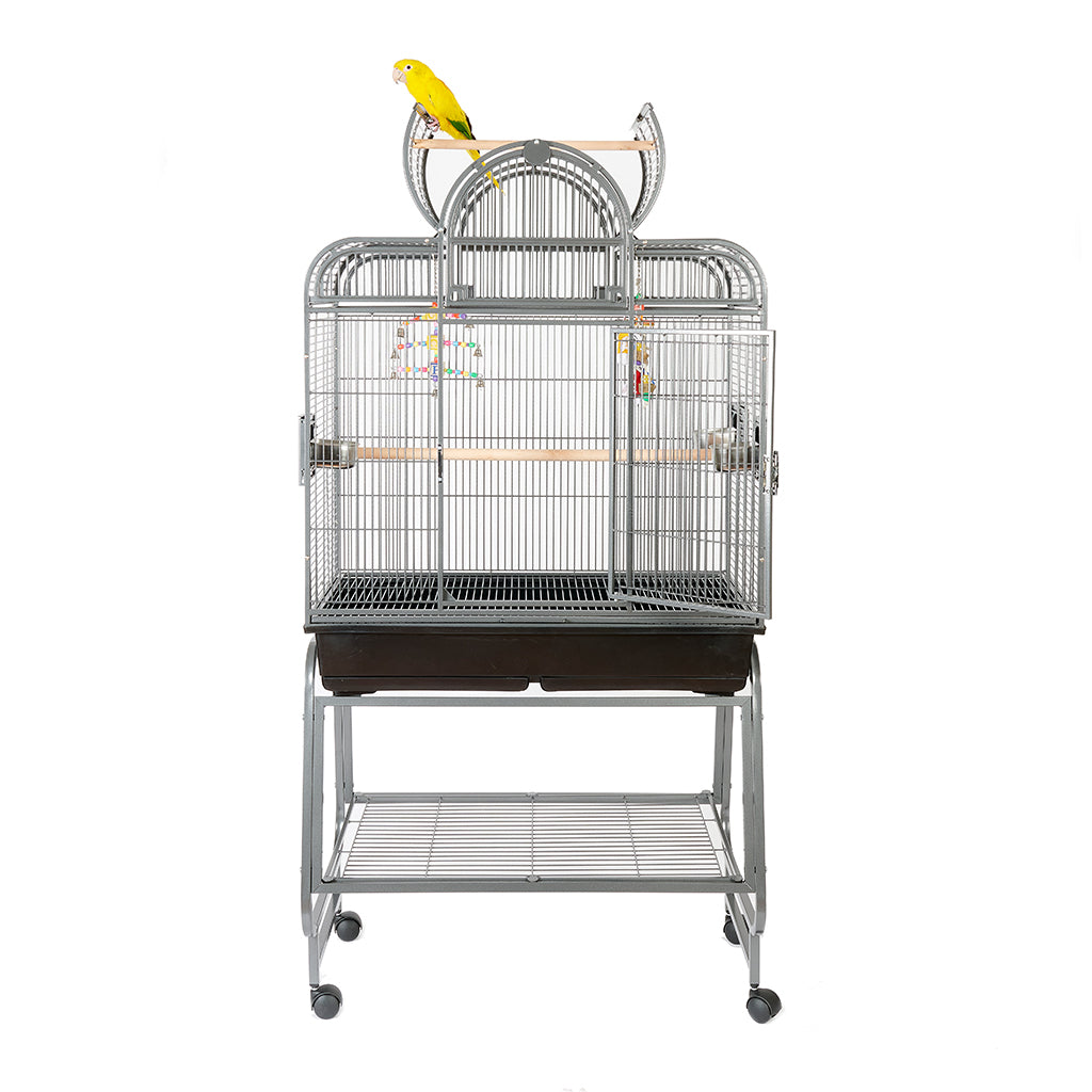 Antique Santa Fe Cage - 2018 Edition