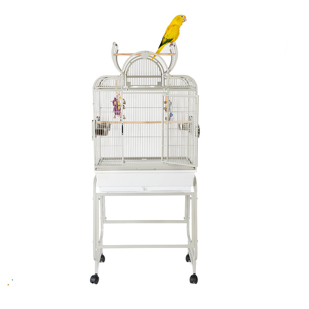 2019 Sante Fe Stone Cage