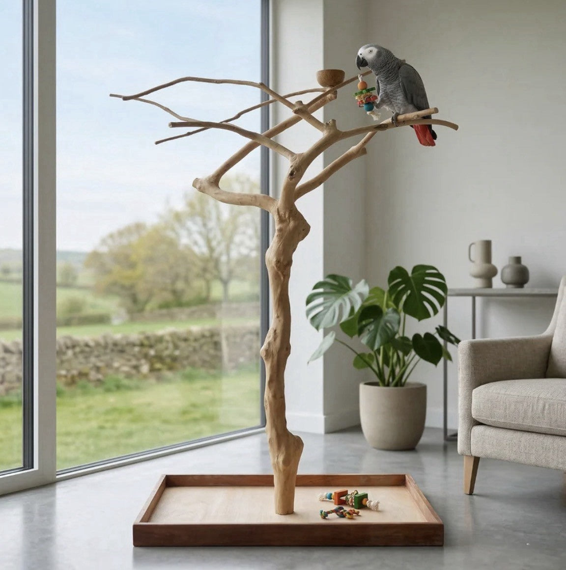 Natural Java Wood Parrot Tree Stand - African grey, Macaw, Amazon Parrots