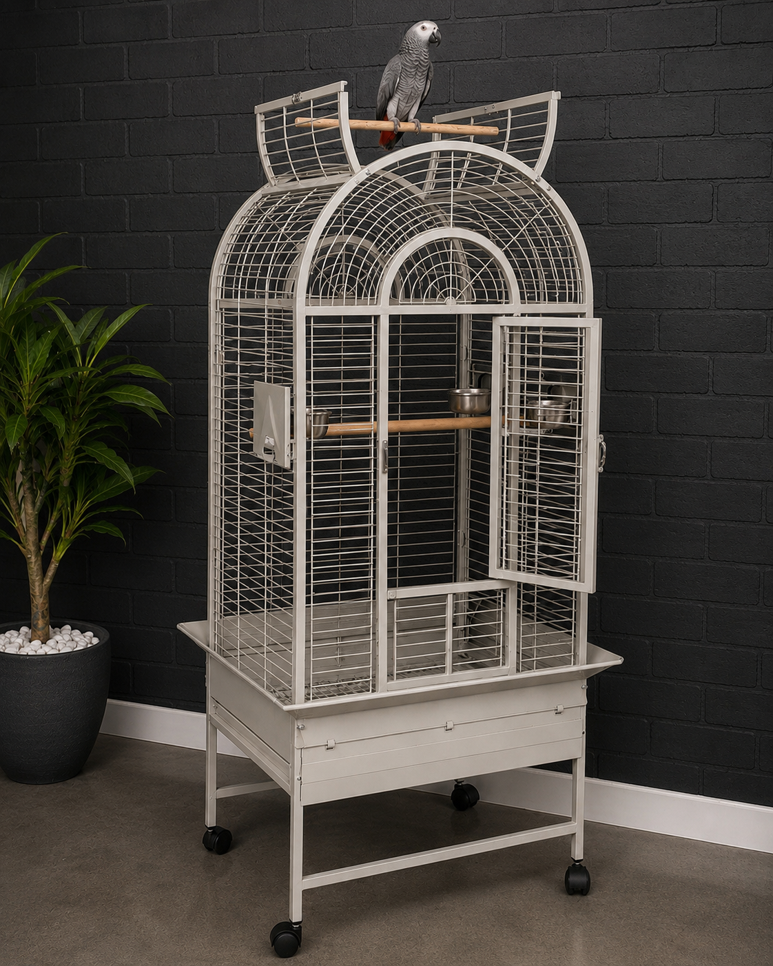 Ecuadorian Stone Parrot Cage