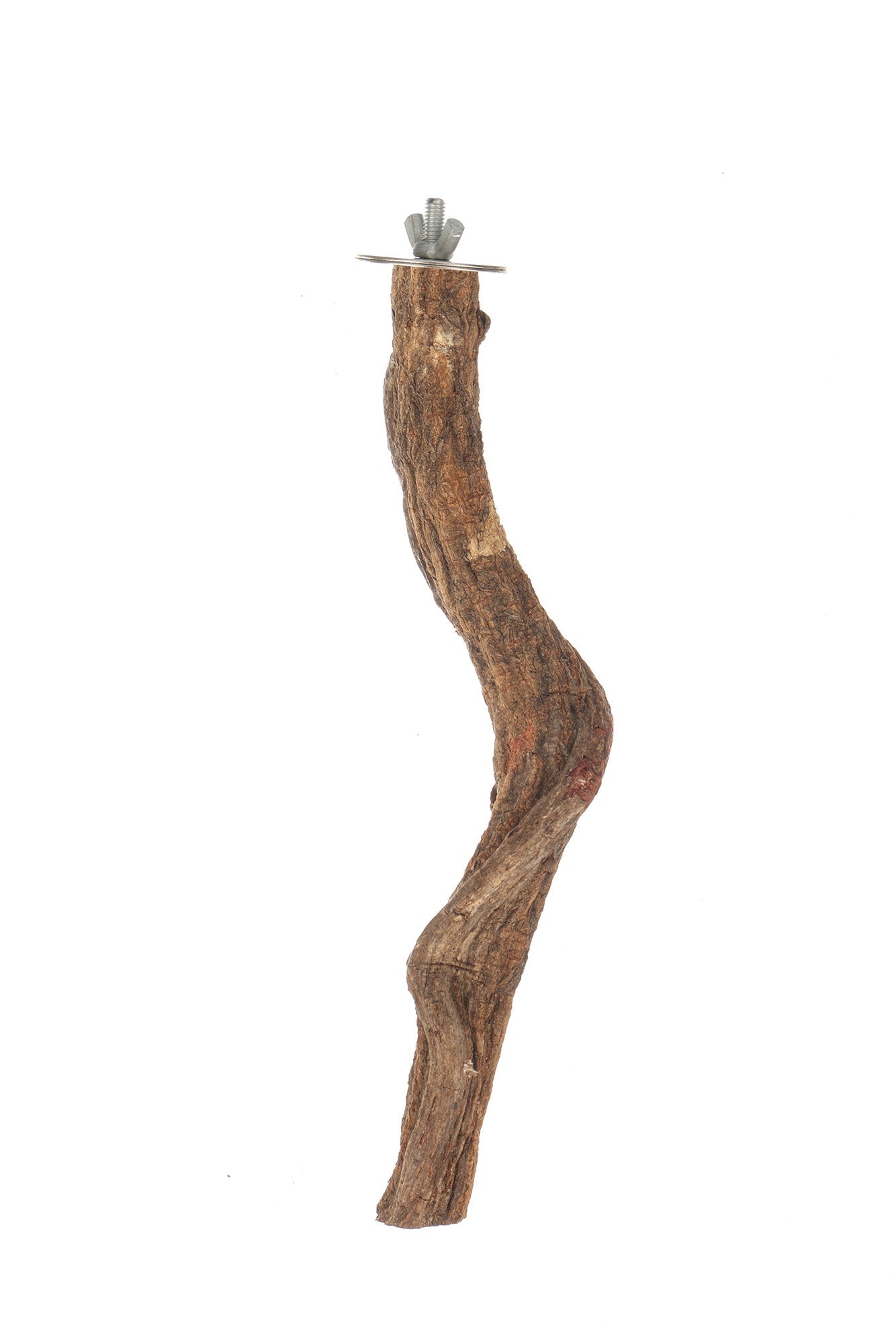 Large Jungle Vine Perch - Model 8401L