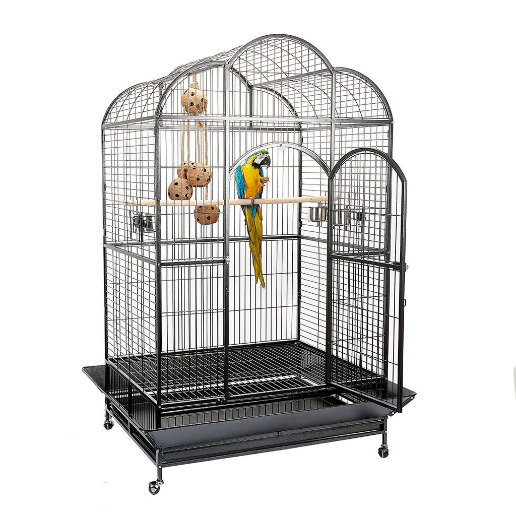 Atlantis Dome Top Large Parrot Cage