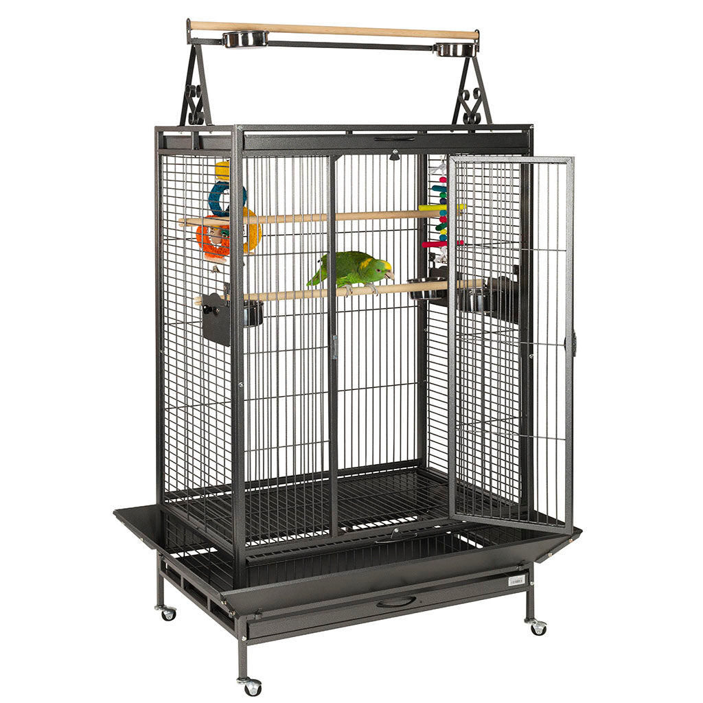 Antique Cambridge Parrot Cage