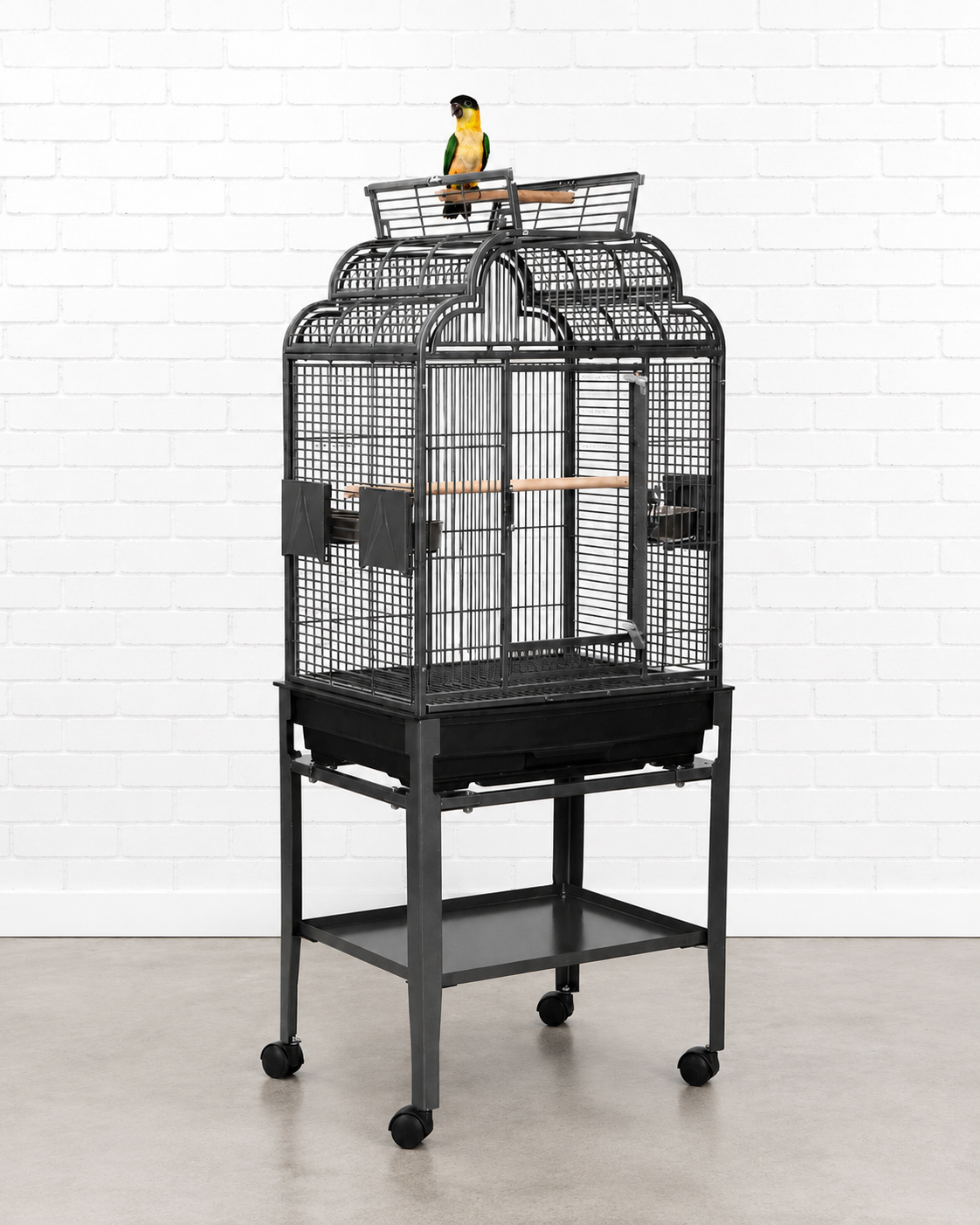 Antique Peru Parrot Cage