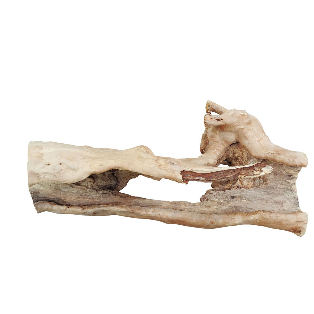 Deco Naturalis Large - Model 4242