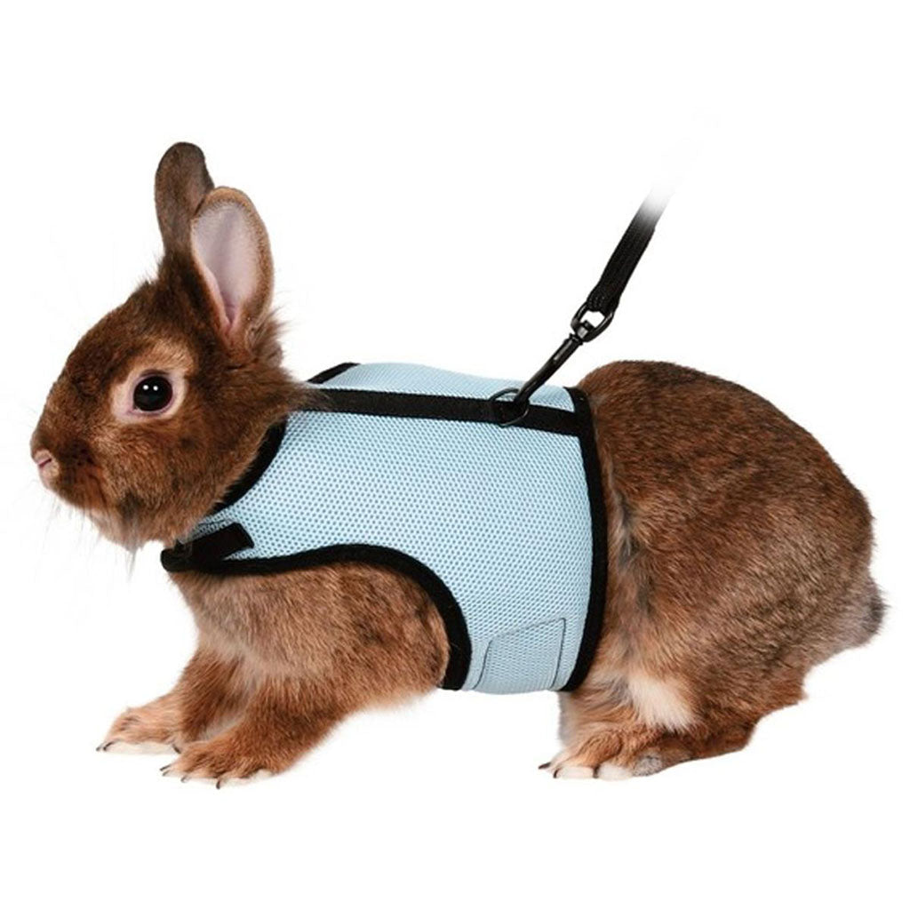 9363 - Rabbit Harness and Leash Set