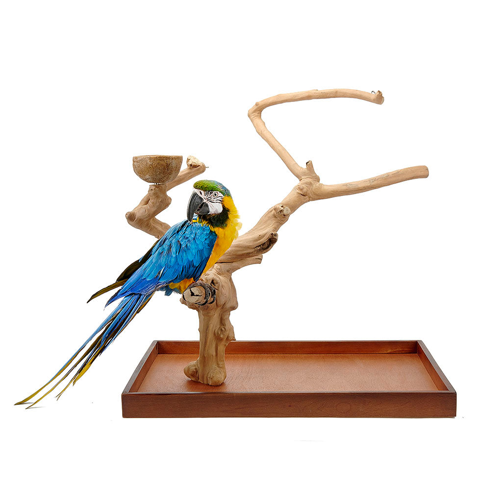 Java Mini Tree - Large Size (Model 4266)