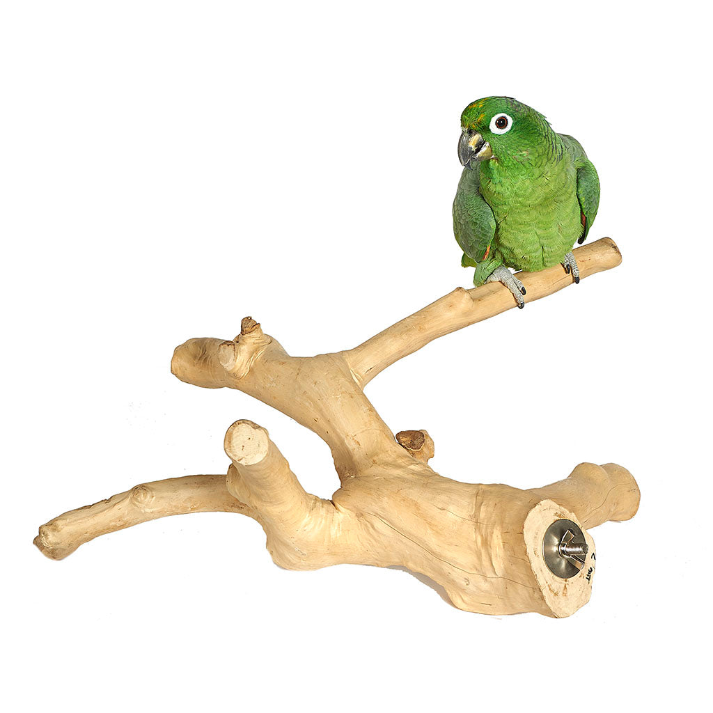 Java Multibranch Large Model 6053