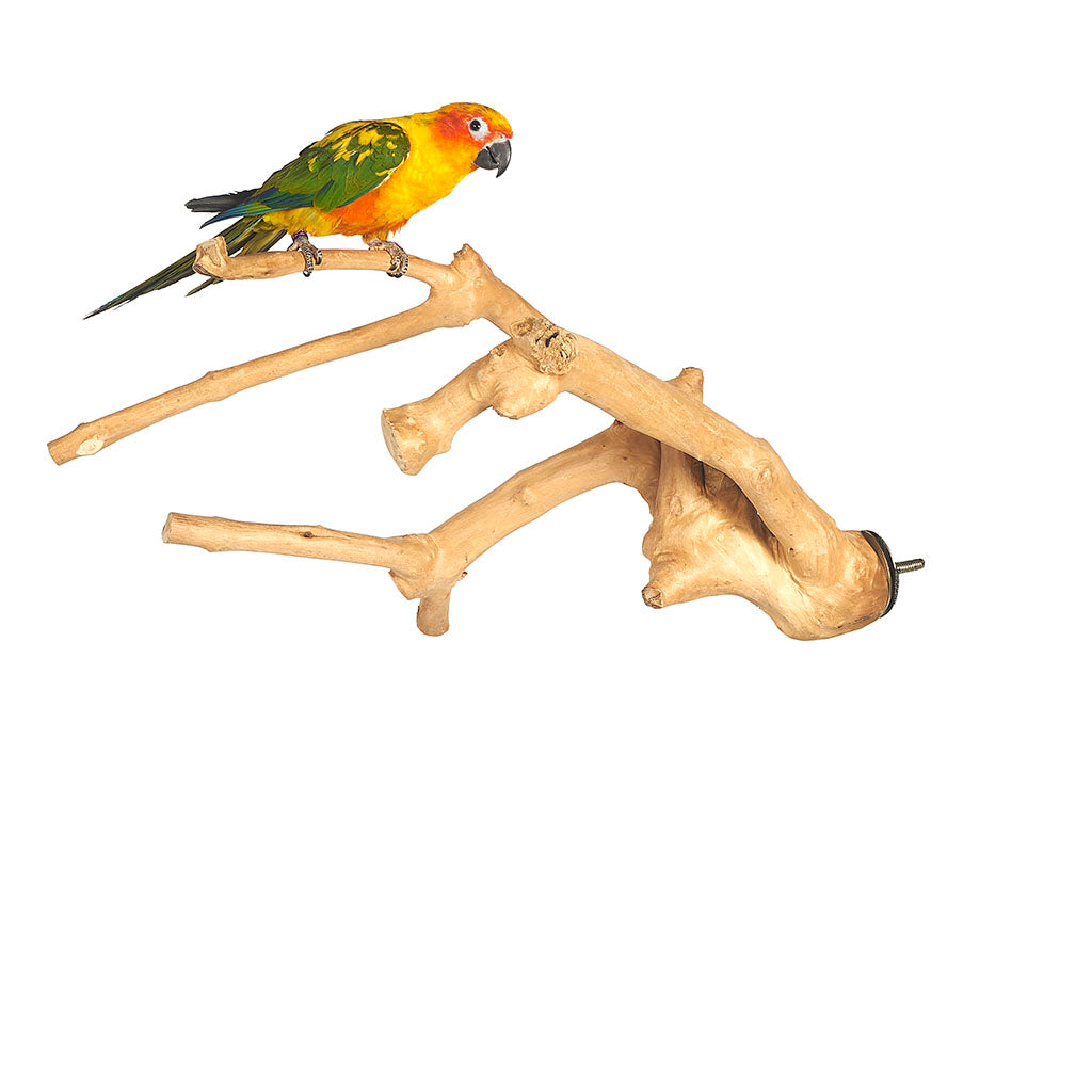 6052 - Medium Java Multibranch