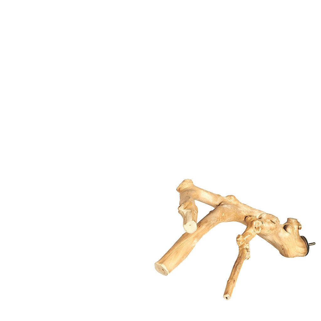 Java Multibranch Small - Model 6051