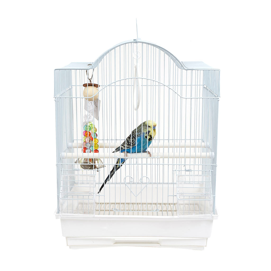 1881 Panama Cage - Pack of 10