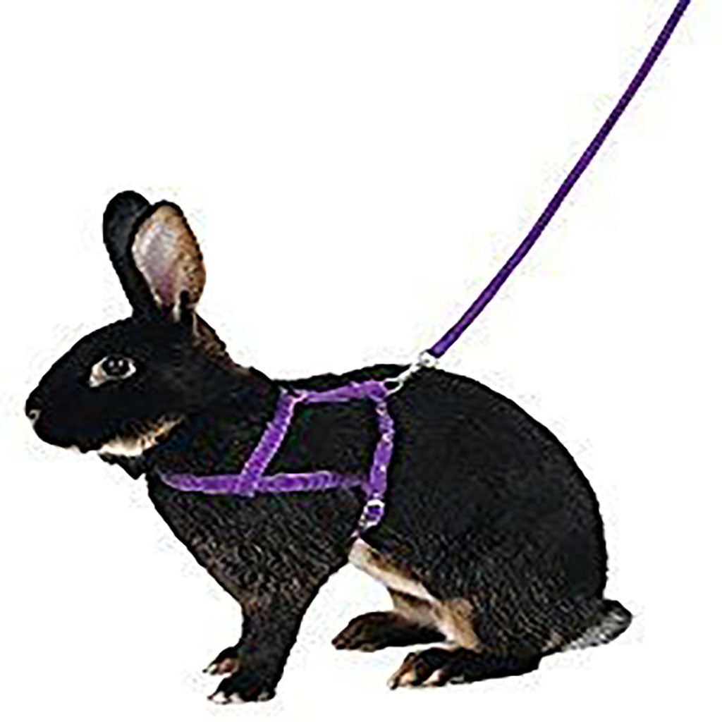 8350 - Bunny Harness