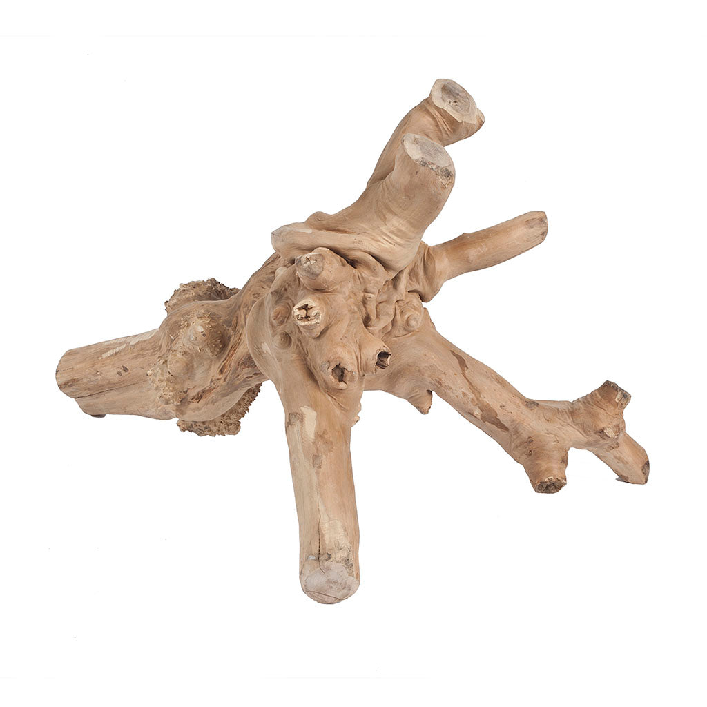 Medium Java Reptile Branch - Model 4251