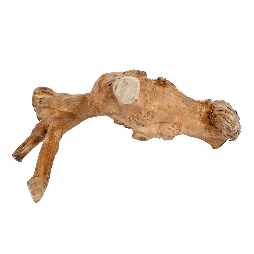 Small Java Reptile Branch - Model 4250